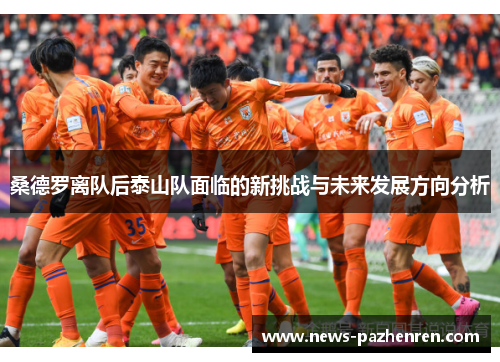 桑德罗离队后泰山队面临的新挑战与未来发展方向分析