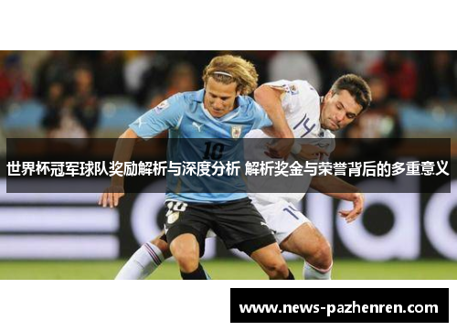 世界杯冠军球队奖励解析与深度分析 解析奖金与荣誉背后的多重意义