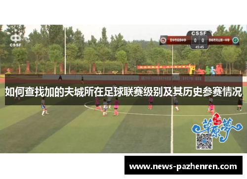 如何查找加的夫城所在足球联赛级别及其历史参赛情况
