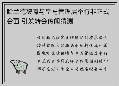 哈兰德被曝与皇马管理层举行非正式会面 引发转会传闻猜测